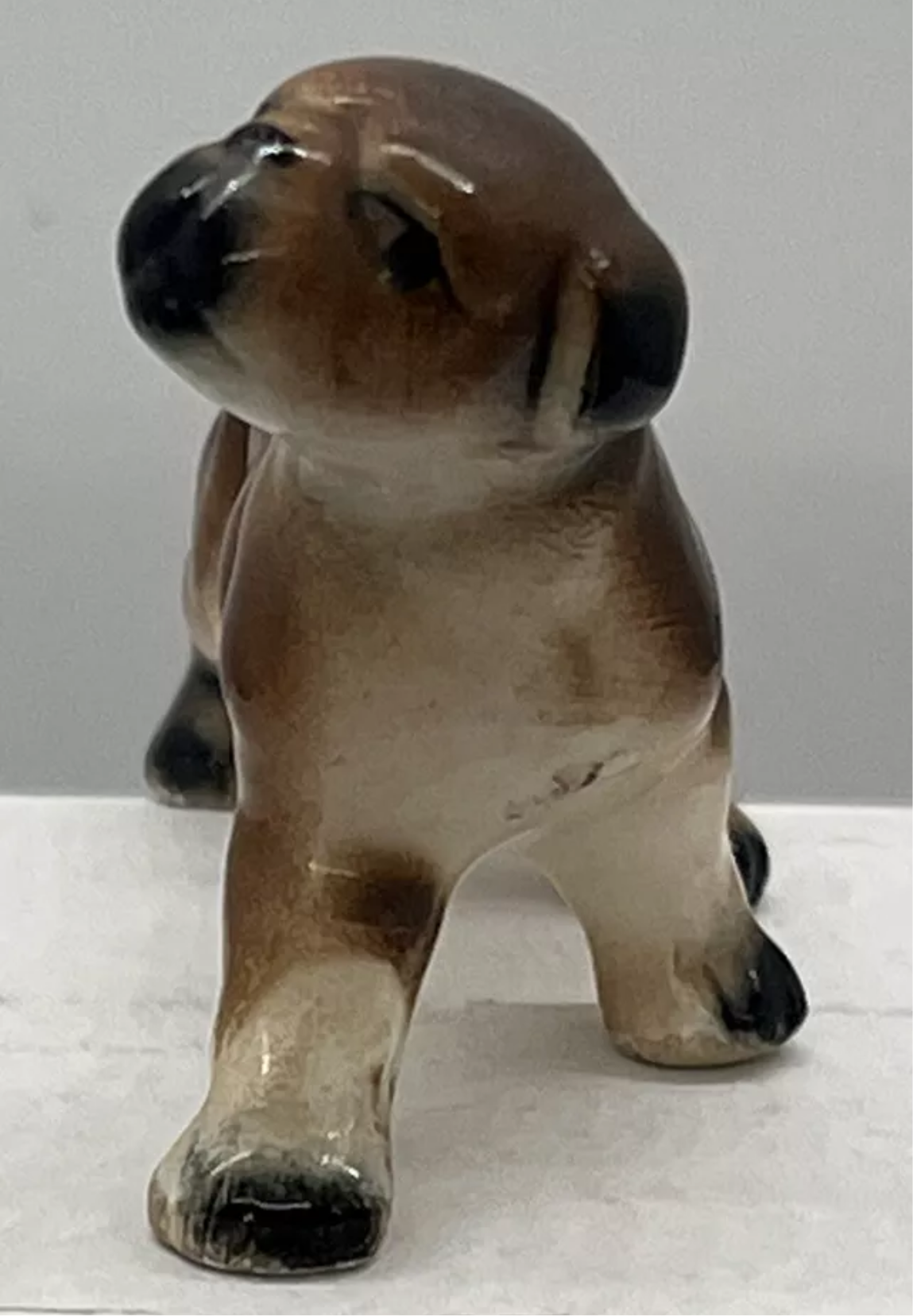 Dolls House dog