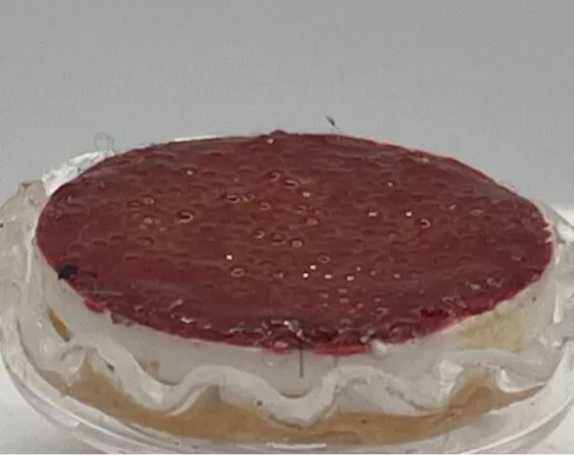 Dolls house strawberry cheesecake on glass pedestal