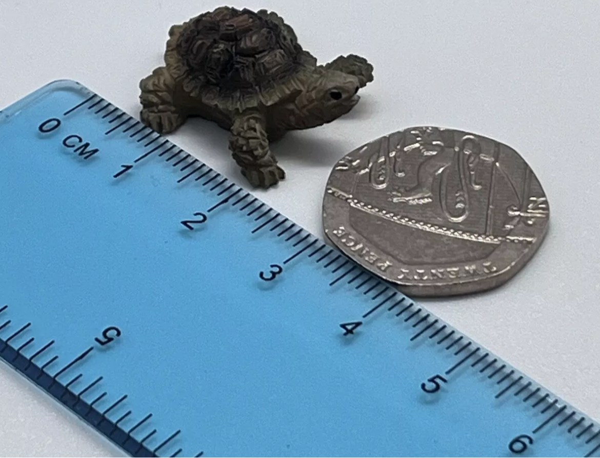 Dolls house tortoise resin