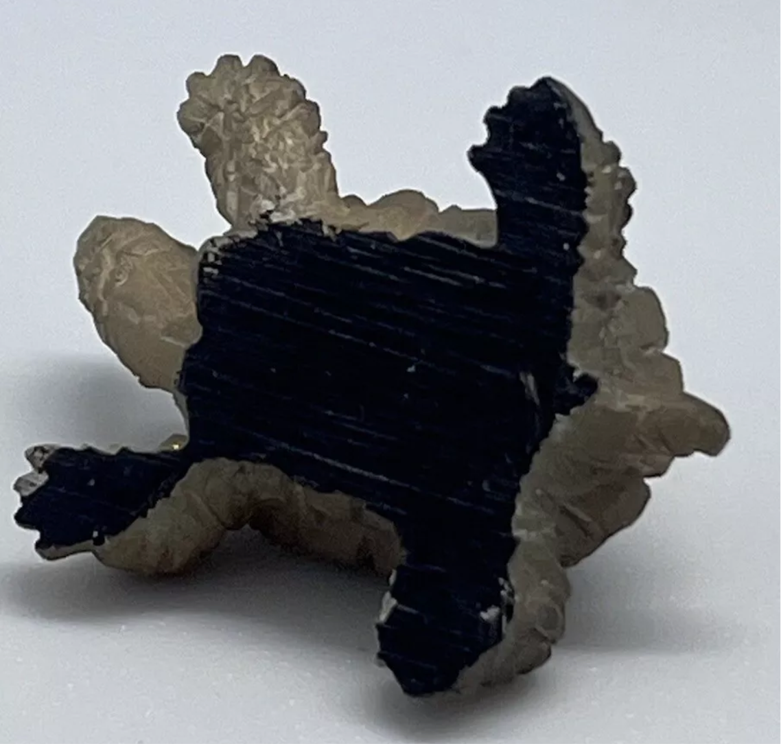 Dolls house tortoise resin