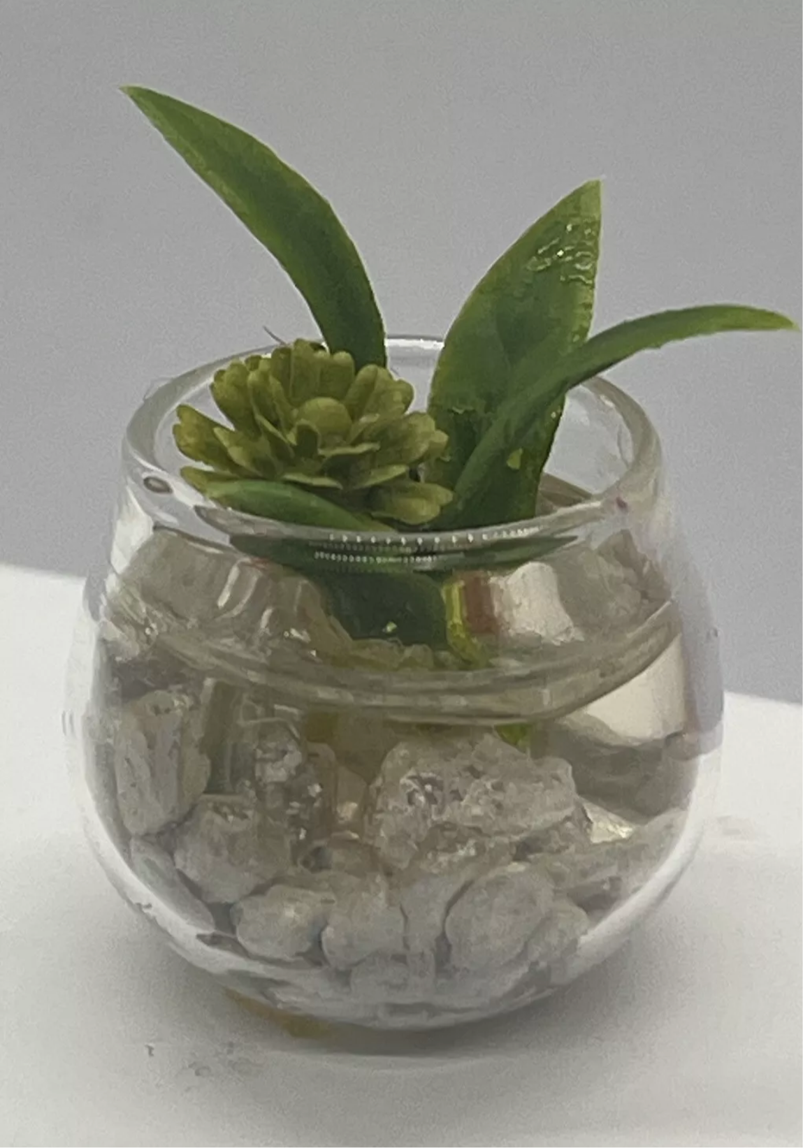 Dolls house glass fish bowl and plant (resin filled)