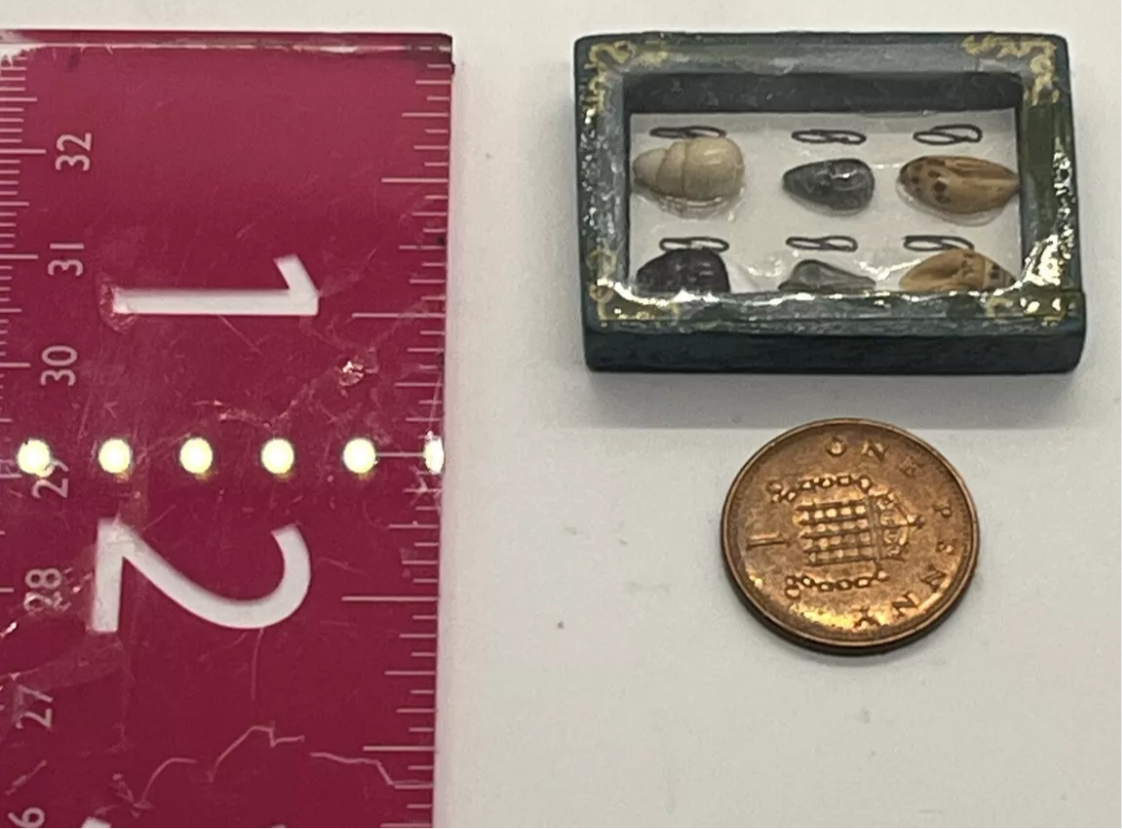 Dolls house shells in case