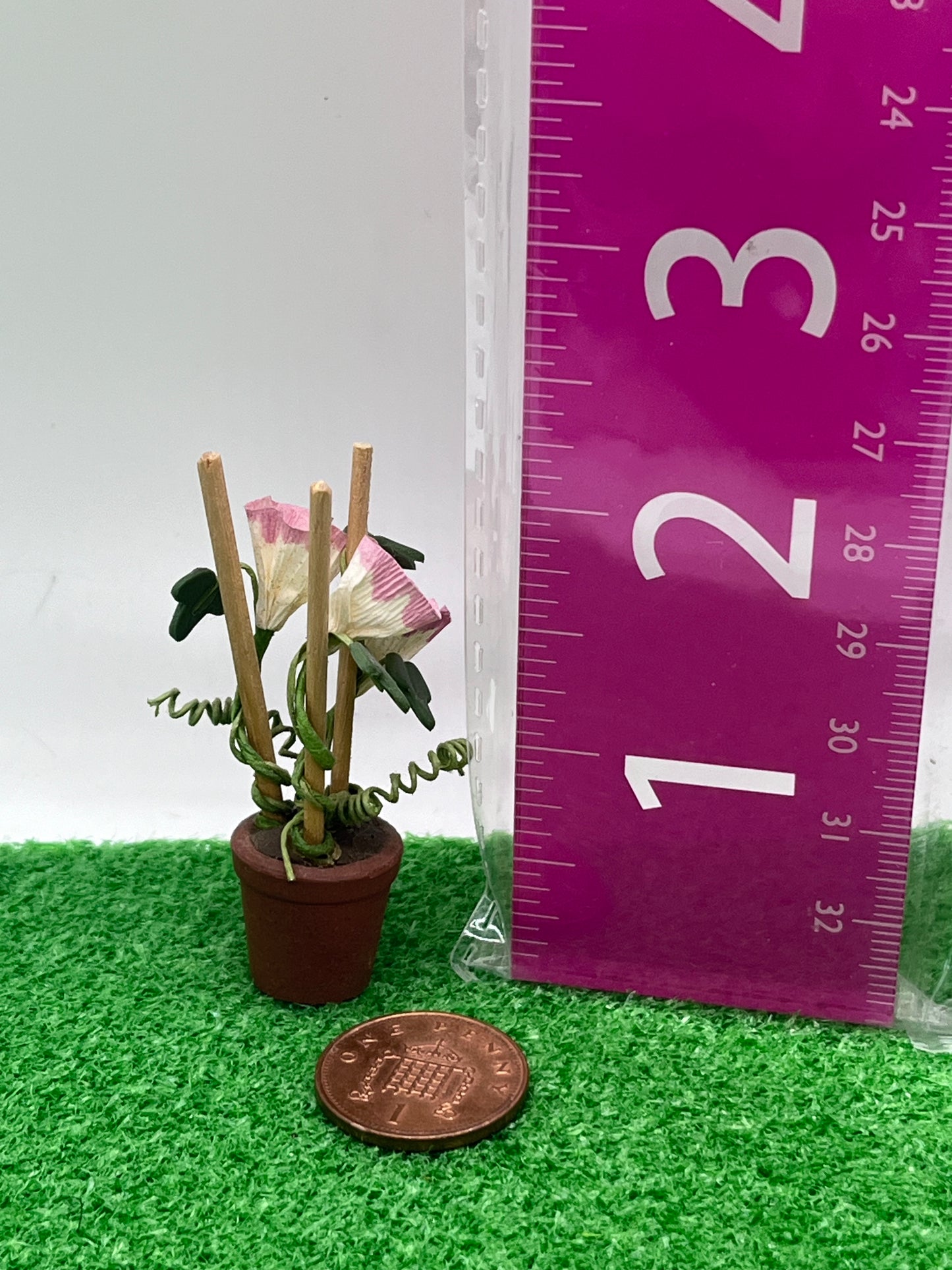 Dolls house plant