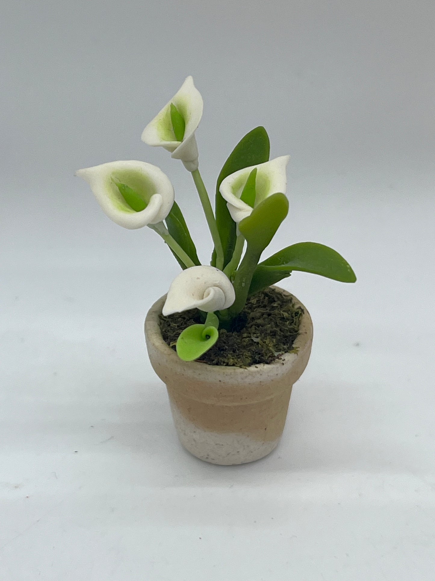 Dolls house flowers in pot