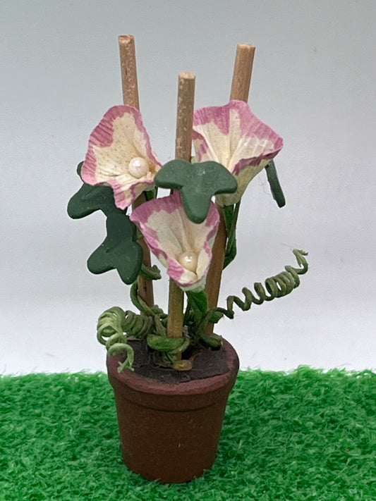 Dolls house plant