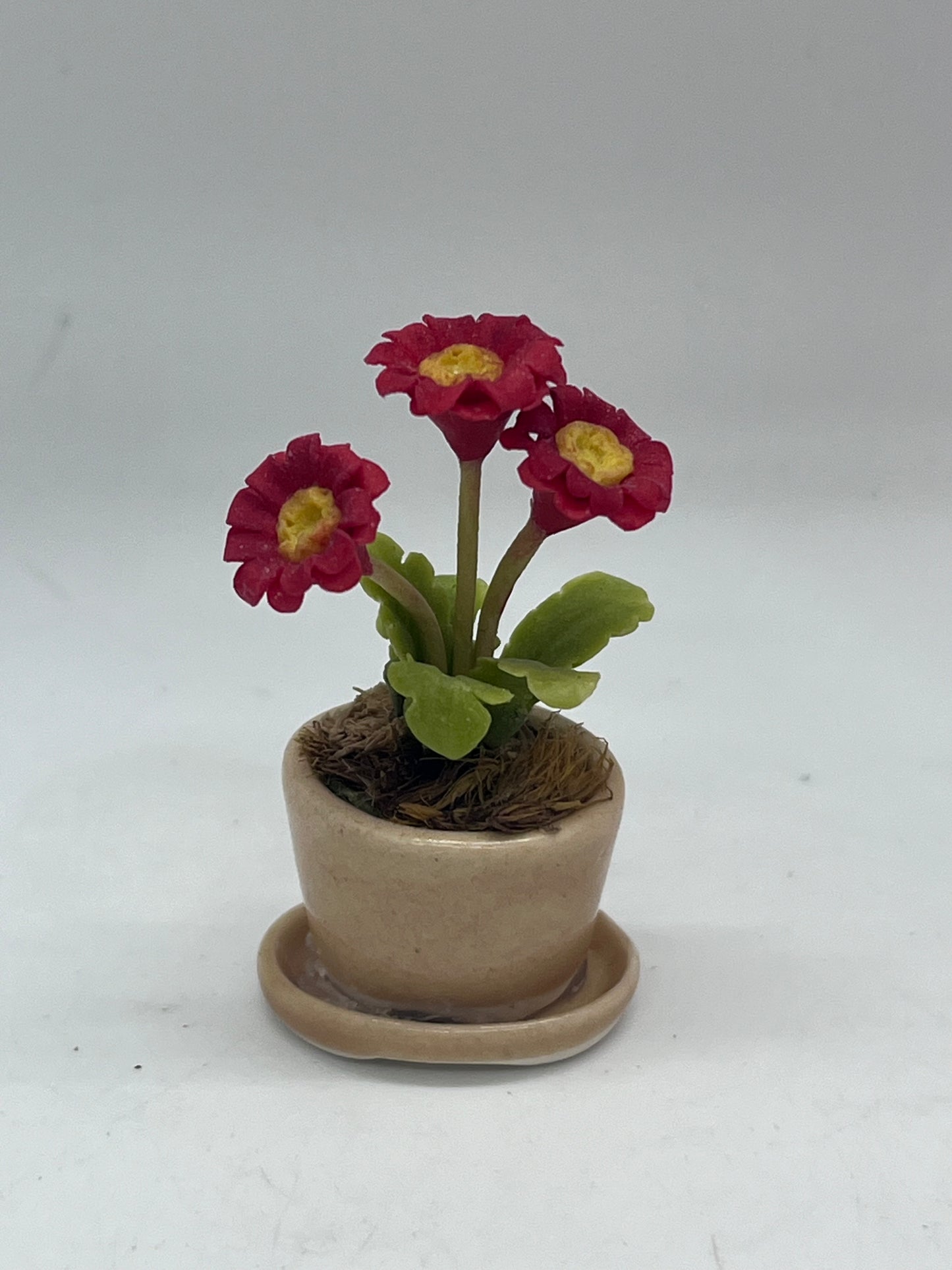 Dolls house flowers