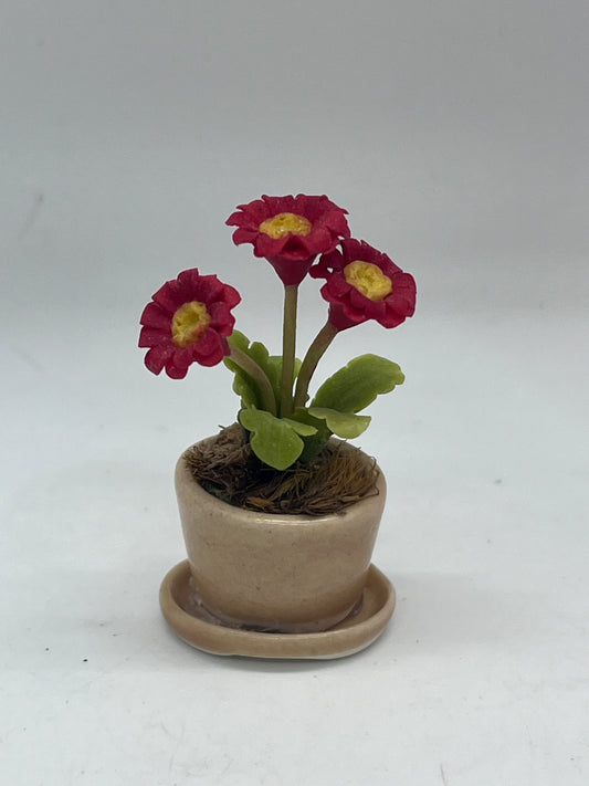 Dolls house flowers