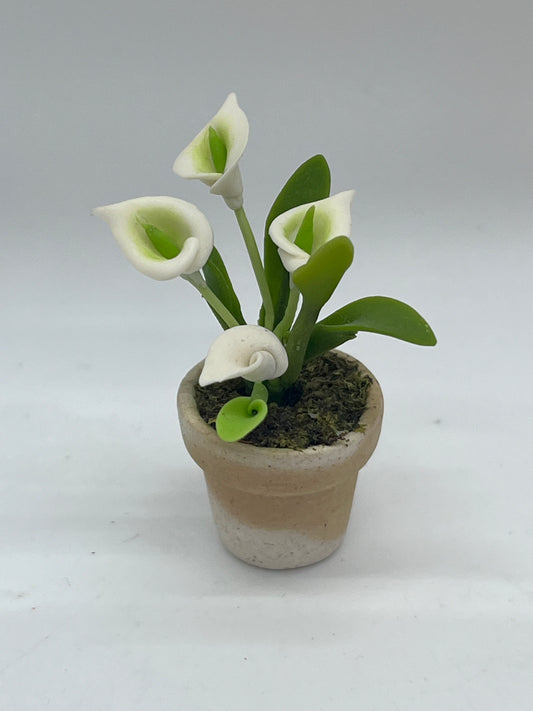 Dolls house flowers in pot